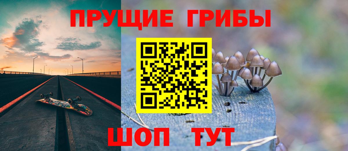 Моздок  Псилоцибиновые грибы ЛСД  Вход с VPN 