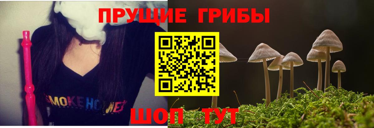 Галлюциногенные грибы ЛСД Моздок